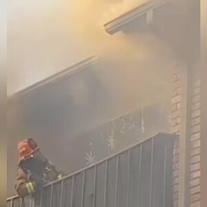 Meet your Posher, Jackie